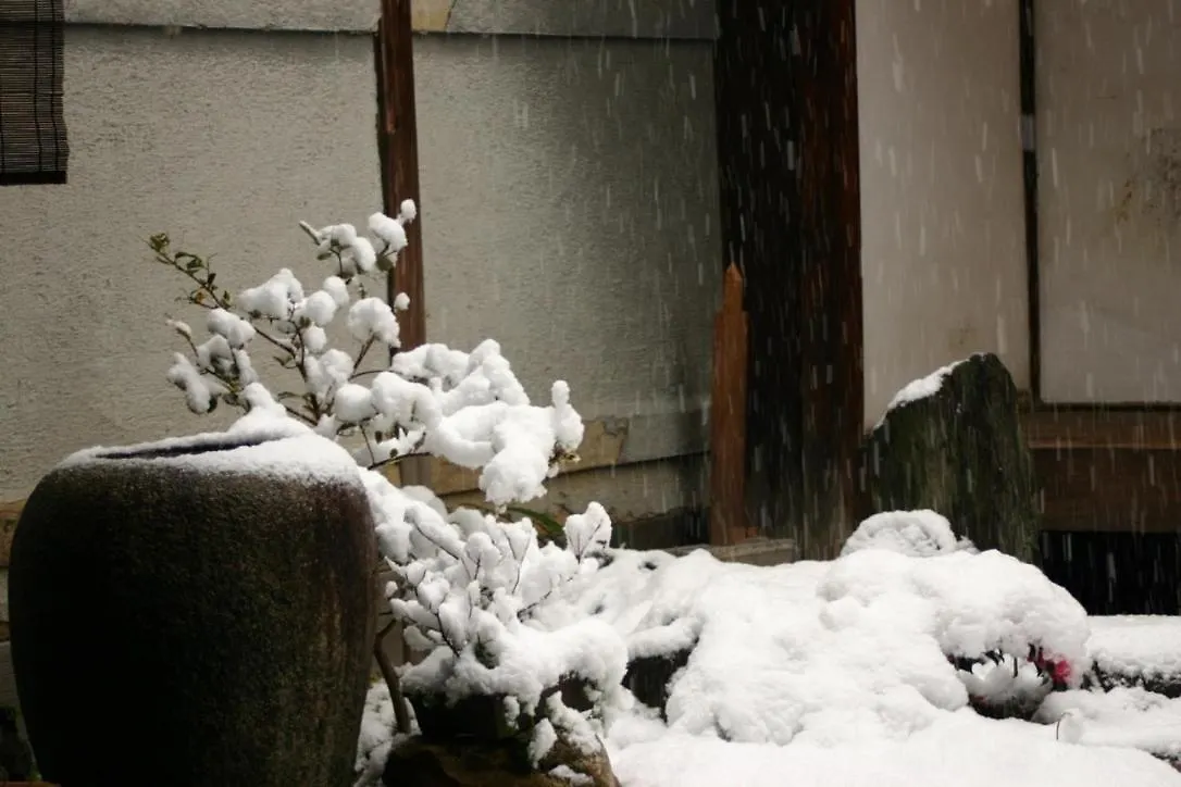 Veada Kyoto 0*,  Japan